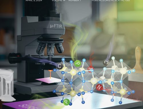 Cover Profile: Highly Stable Self-Cleaning Paints Based on Waste-Valorized PNC-Doped TiO2 Nanoparticles