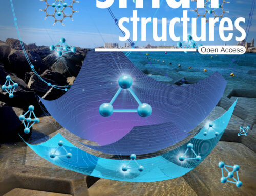On the Cover: Fluxional Atomic Metal Clusters