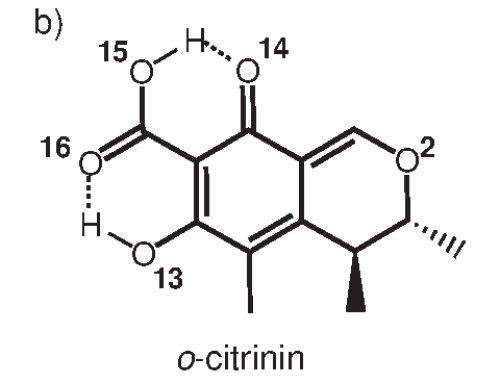 A computational QM/MD 17O NMR study of tautomeric equilibrium of mycotoxin citrinin in dichloromethane solution