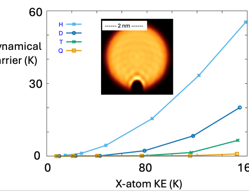 Quantum dynamics of the temporary capture of light atoms by superfluid helium nanodroplets at very low collision energies (1–13 meV): the case of the hydrogen atom and its isotopes