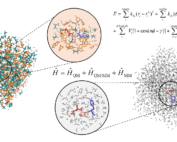 Modeling Peptides in Aqueous Ionic Liquid Mixtures: A Quantum Mechanics/Molecular Dynamics Study of Structural and NMR Properties - graphical abstract