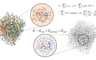 Modeling Peptides in Aqueous Ionic Liquid Mixtures: A Quantum Mechanics/Molecular Dynamics Study of Structural and NMR Properties - graphical abstract