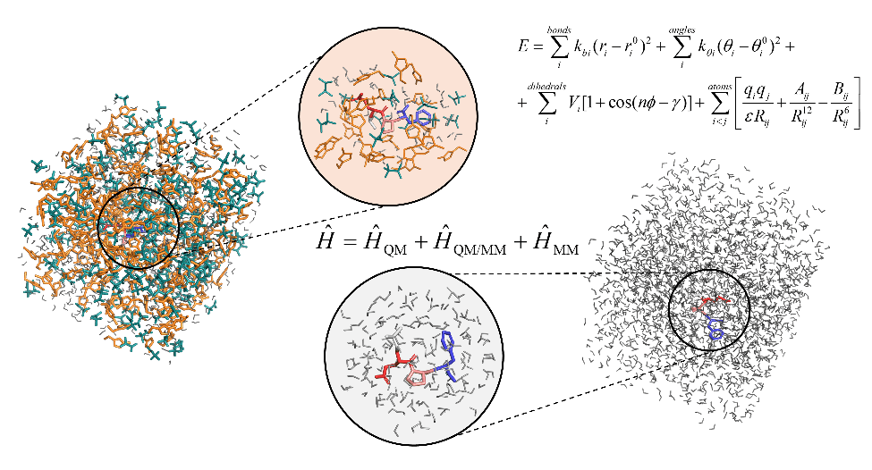 Modeling Peptides in Aqueous Ionic Liquid Mixtures: A Quantum Mechanics/Molecular Dynamics Study of Structural and NMR Properties - graphical abstract